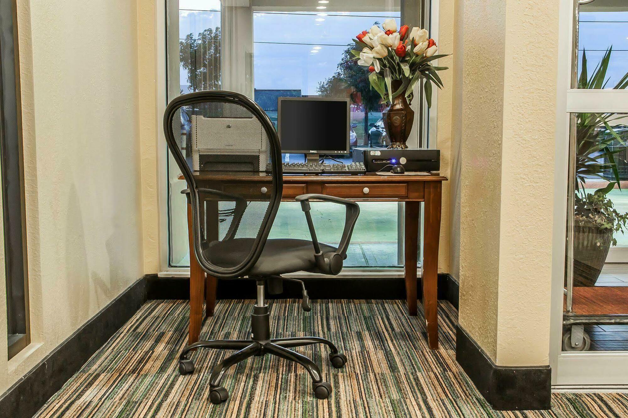 אלק סיטי Comfort Inn & Suites מראה חיצוני תמונה